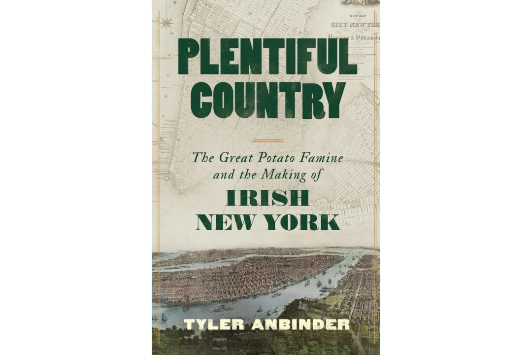Book cover for Plentiful Country